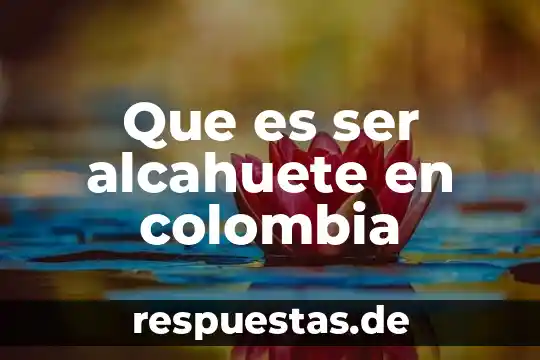 Que es ser sarcástico y irónico 3 Que es ser alcahuete en colombia