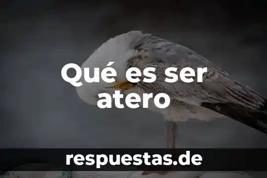 Que es ser un buen lider en el trabajo 8 Qué es ser atero