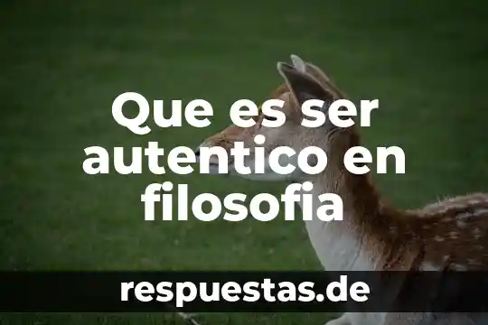 Que es ser confrontativo 5 Que es ser autentico en filosofia