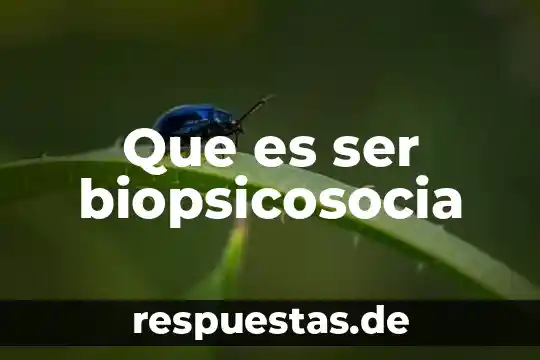 Que es ser biopsicosocia