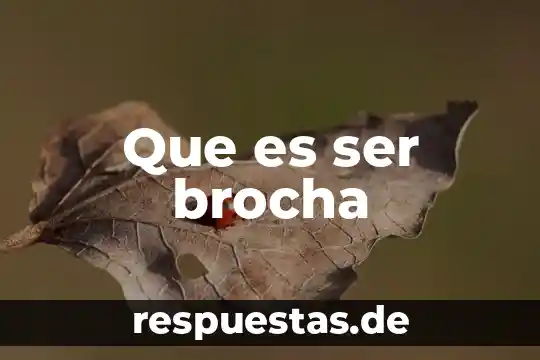 Que es un ser inerte y como lo identifica 7 Que es ser brocha