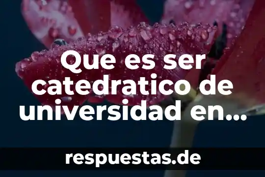 Que es ser enemigo de la cruz 4 Que es ser catedratico de universidad en españa