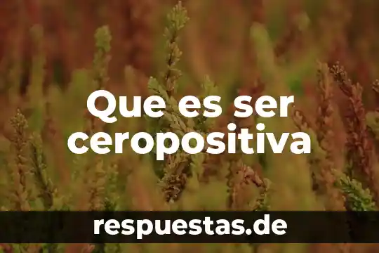 Que es ser peido 6 Que es ser ceropositiva