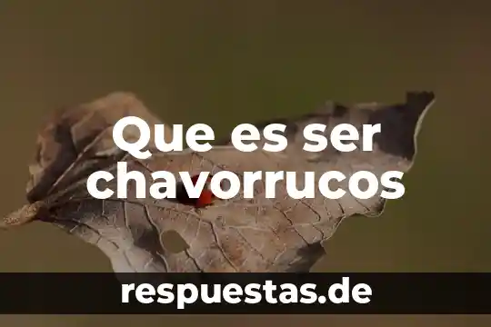 Que es ser radical significa 8 Que es ser chavorrucos