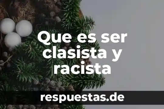 Que es ser sadomasoquistas 3 Que es ser clasista y racista