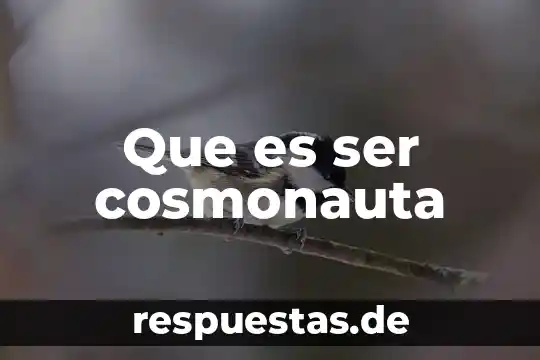 Que es ser una persona perpicaz 5 Que es ser cosmonauta