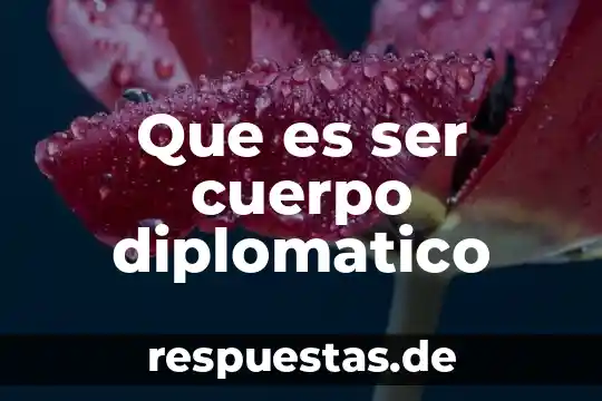 Que es ser cuerpo diplomatico