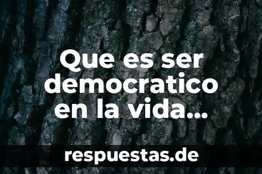Que es ser una persona antipática 3 Que es ser democratico en la vida diaria