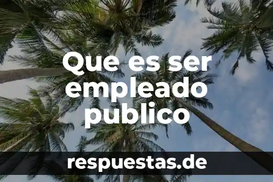 Que es ser empleado publico