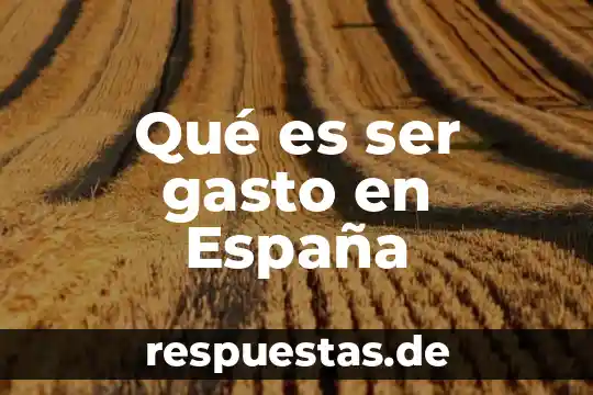 Que es ser hispanoamericano 3 Qué es ser gasto en España