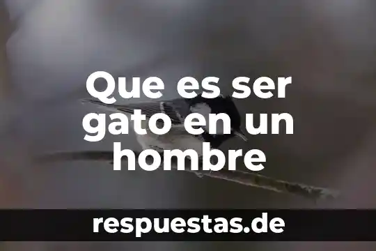Significado de que es el ser 7 Que es ser gato en un hombre