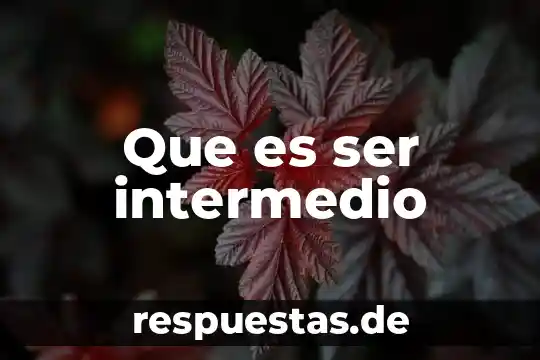 Qué es ser hipocondriaco 5 Que es ser intermedio