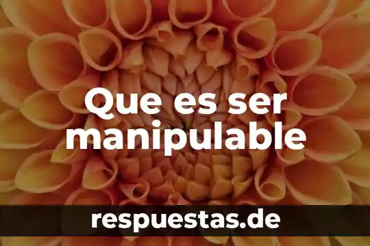 Que es ser vunerable 3 Que es ser manipulable