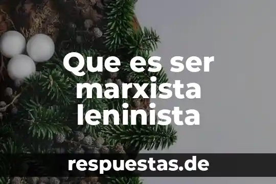 Que es ser marxista leninista