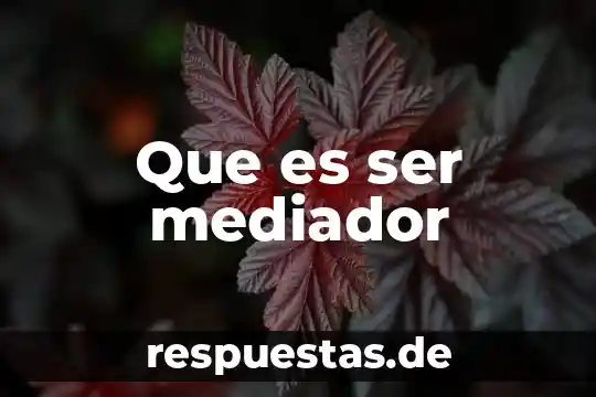 Que es ser una persona perpicaz 8 Que es ser mediador