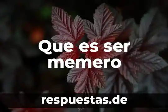 Que es ser memero