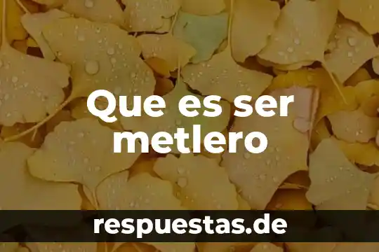Que es ser extensionismo 6 Que es ser metlero
