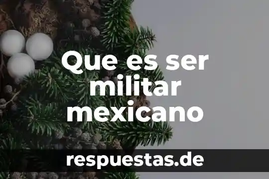 Que es ser una persona marginada 3 Que es ser militar mexicano