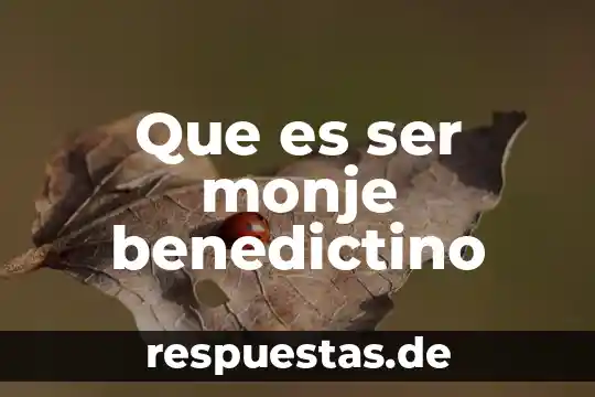 Que es ser inferior a alguien 3 Que es ser monje benedictino