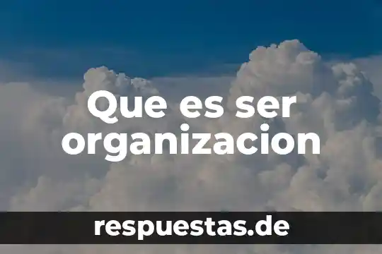 Qué es ser huachicol 4 Que es ser organizacion