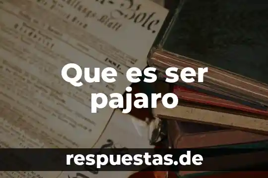 Que es ser extras 7 Que es ser pajaro