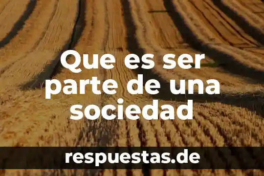 Que es ser una parte en el juicio de amparo 7 Que es ser parte de una sociedad