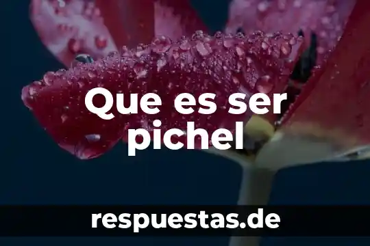 Qué es DDT química definición 5 Que es ser pichel