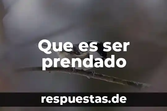 Que es ser un caballero y una dama 5 Que es ser prendado
