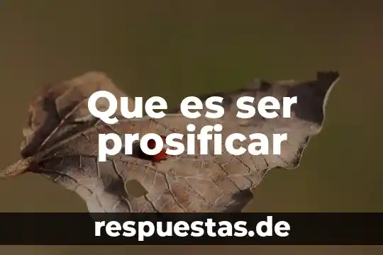 Que es ser una persona marginada 8 Que es ser prosificar
