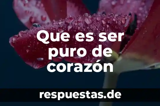 Me enseñaste tu lo que es amor y corazon 7 Que es ser puro de corazón