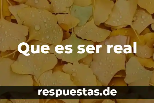 Que es ser clasista y racista 4 Que es ser real