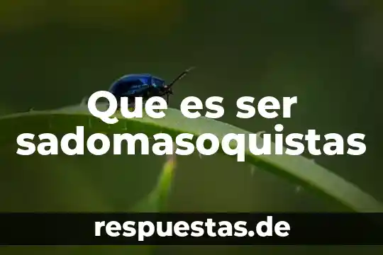 Que es ser clasista y racista 7 Que es ser sadomasoquistas