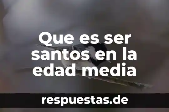 Que es la media aritmética empoderada 6 Que es ser santos en la edad media