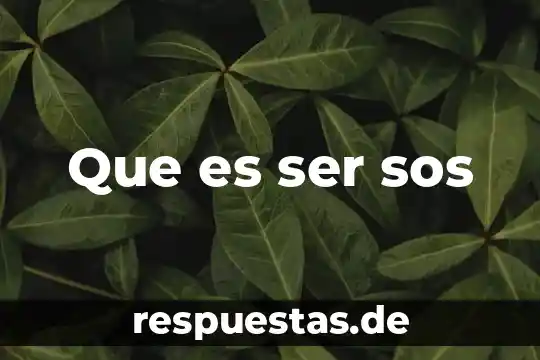 Que es ser sos