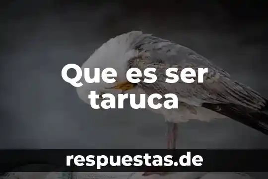 Qué es el movimiento 132 7 Que es ser taruca