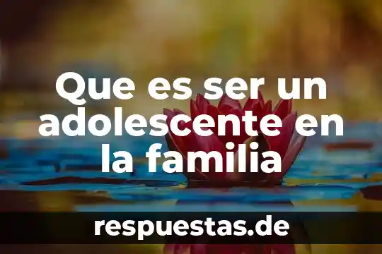 Que es ser integro como valor 8 Que es ser un adolescente en la familia