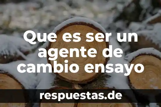 Que es ser un agente de cambio ensayo