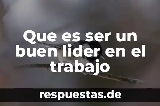 Que es el ser psicologico 5 Que es ser un buen lider en el trabajo