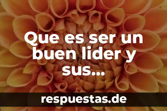 Qué es líder planta de amapola 5 Que es ser un buen lider y sus caracteristicas