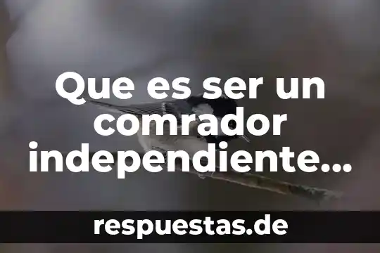 Que es no ser generoso 7 Que es ser un comrador independiente clasico
