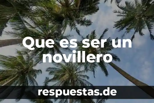 Que es ser mariana la faraona 6 Que es ser un novillero