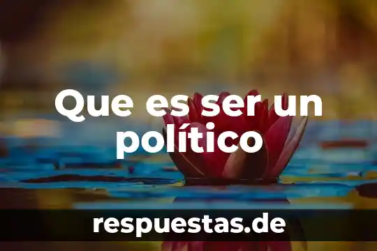 Que es ser un político