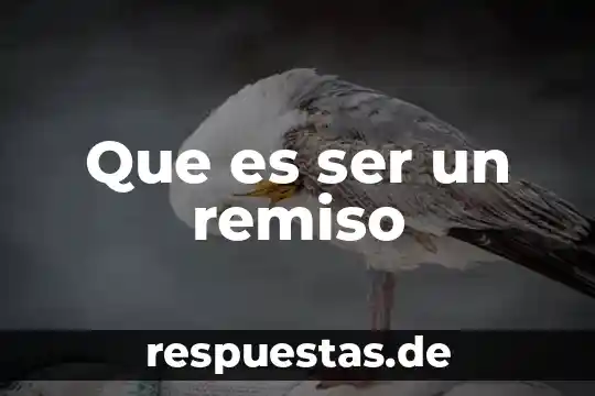 Que es ser un remiso