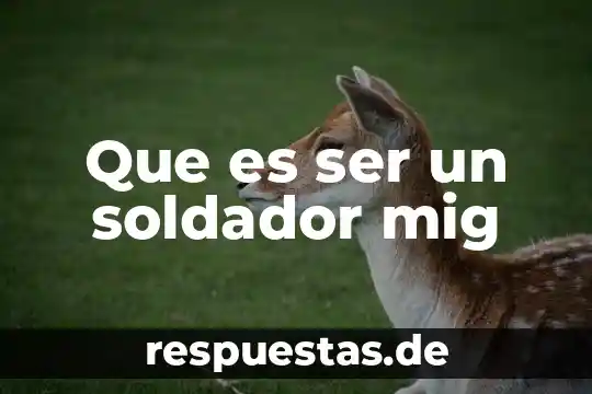 Que es ser magister en educacion 6 Que es ser un soldador mig