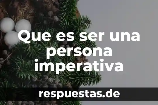 Que es un ser perfecto 4 Que es ser una persona imperativa