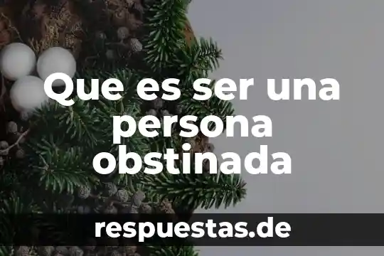 Que es ser una persona obstinada