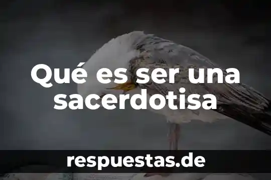 Qué es corrupción pública y privada 7 Qué es ser una sacerdotisa