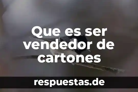 Que es ser una persona jugada 3 Que es ser vendedor de cartones