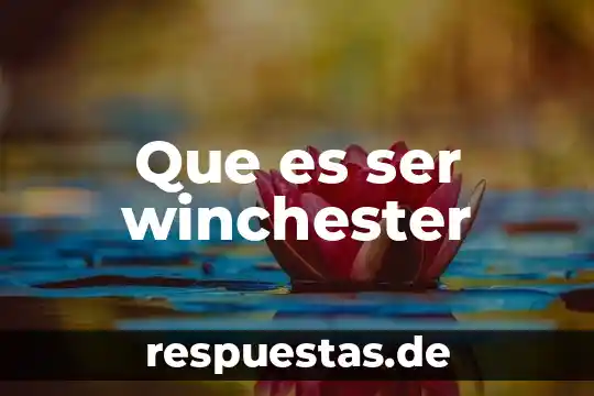 Que es ser asistente directivo 8 Que es ser winchester