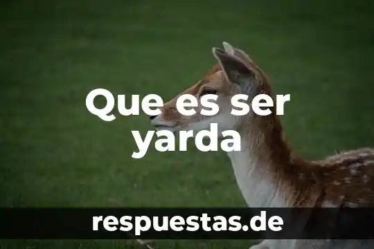 Que es ser depravado 5 Que es ser yarda